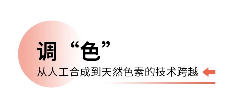 微信图片_2025-11-26_162943_348.jpg